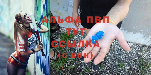спайс Арсеньев