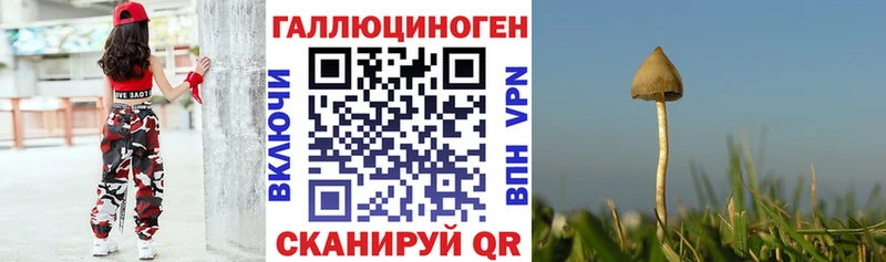 Галлюциногенные грибы Psilocybine cubensis  продажа наркотиков  Арск 